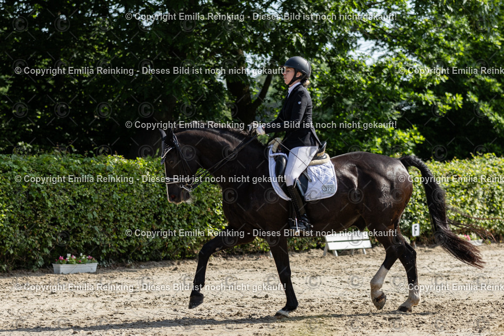 CL5A7331 | Emilia Reinking Fotografie - Realisiert mit Pictrs.com