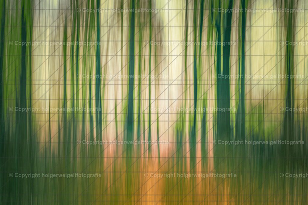 Woodland | Kaufen sie online außergewöhnliche Fotografien auf Leinwand Acrylglas Fotoprint Aludibond von holgerweigeltfotografie - Realisiert mit Pictrs.com