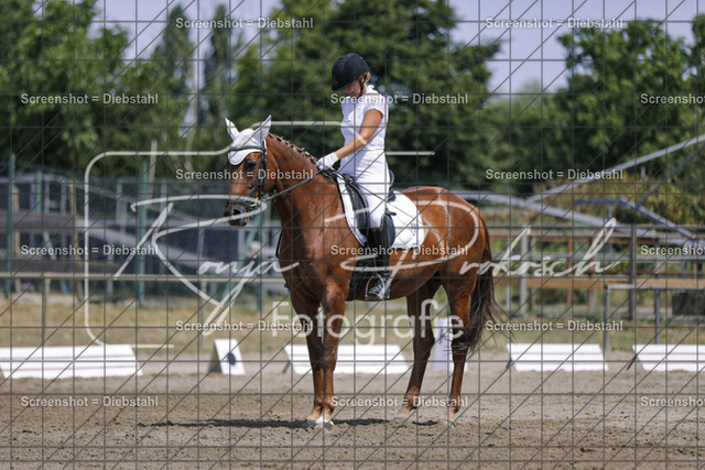 _W6A4923 | ronjaprokoschfotografie - Realisiert mit Pictrs.com
