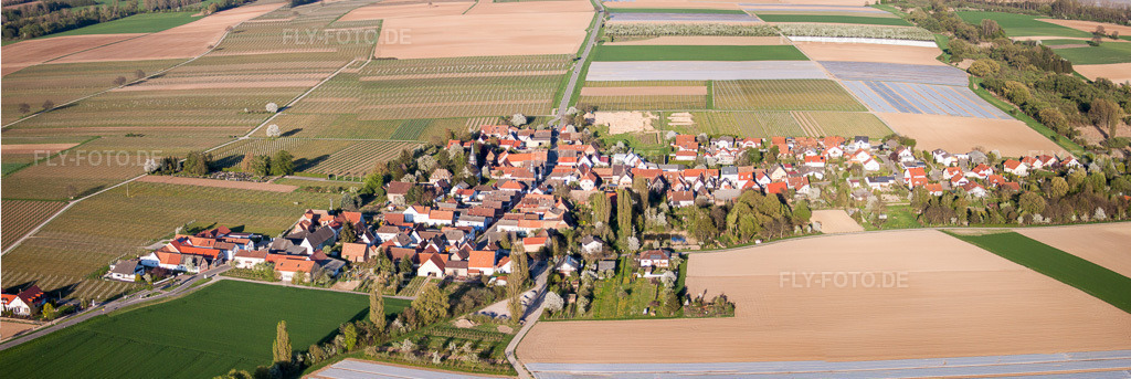 Luftbild: Panorama Perspektive landwirtschaftlichen Feldern und Nutzflächen in Kleinfischlingen im Bundesland Rheinland-Pfalz in Deutschland. Foto: IMG_56709-Bearbeitet.jpg vom 25.04.2013 durch Werner Riehm/FLY-FOTO.deAuflösung des Originals: 9002 x 3013 px