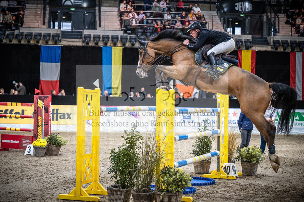 DOS_1978 | Entdecke hochwertige Reitturnierfotos von Foto Oger. Professionell, emotional und authentisch – jetzt Lieblingsmomente im Shop bestellen.Deutschlandweite Turnierfotografie. - Realisiert mit Pictrs.com