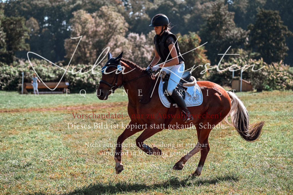 DSC_0927 | Pferde- und Turnierfotografie in Westsachsen. Pferdeportraits, Auftragszeichnungen und intuitive Kunst.