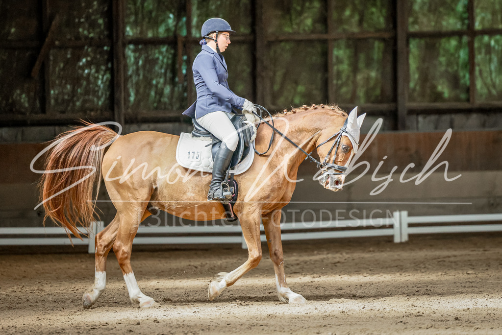 20250621-_3LI6399 | Tierfotografie Pferde, Hunde, Katzen, Haustiere.
Turnierfotografie Reitturniere, Reiten, Springreiten, Dressur in Hanau, dem Main-Kinzig-Kreis und dem Rhein-Main- Gebiet um Frankfurt