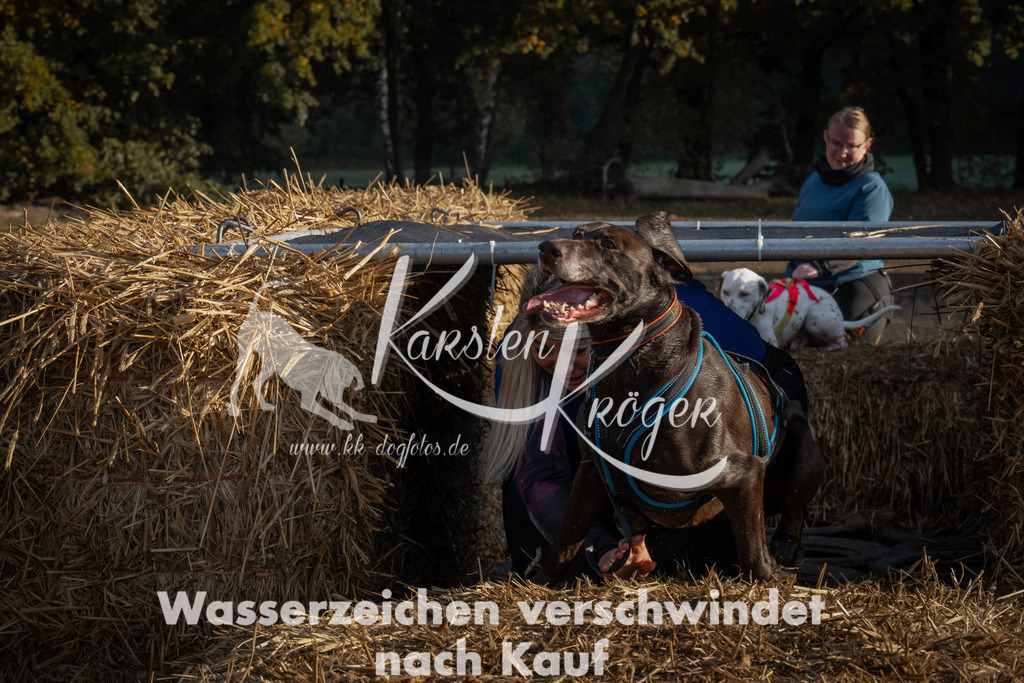 0946_ZZ94678 | kk-dogfotos