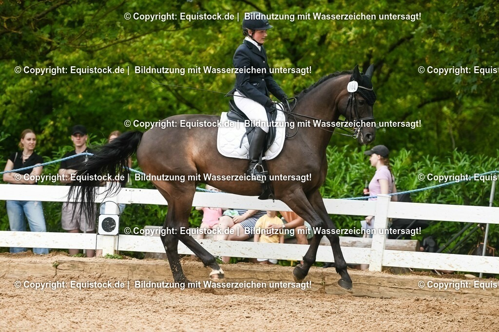 20230716_01_Dressurprüfung Kl.M_0421 | equistock