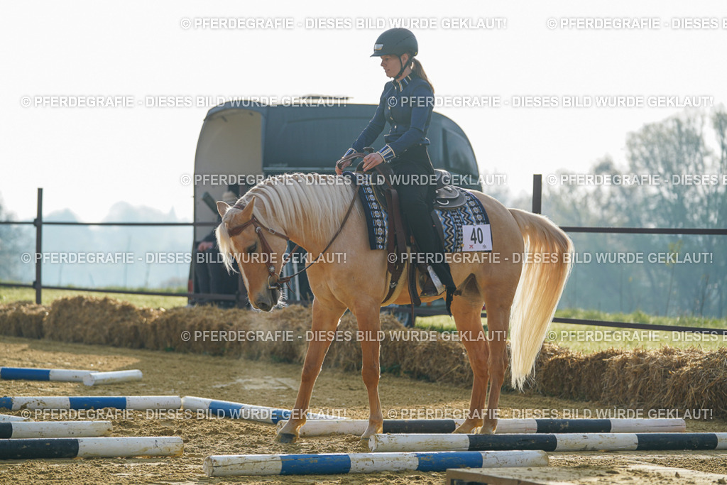 DSC09953 | Pferdegrafie