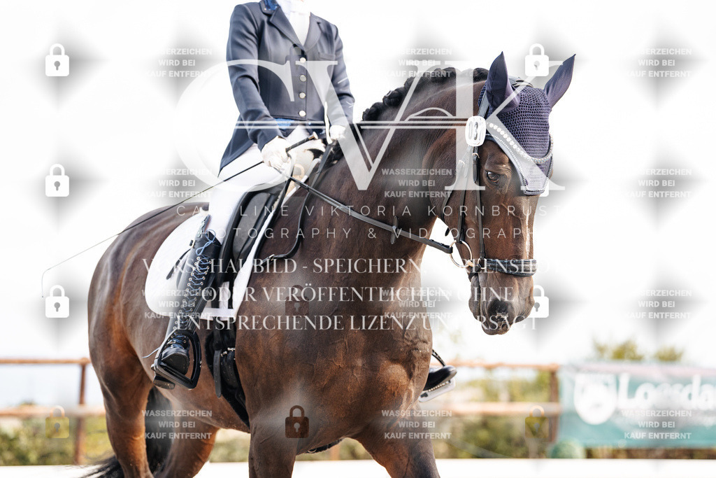 CK900437 | Turnierfotografie Pferdefotografie Trier Rheinland-Pfalz Pferdesport Reitsport Tierfotografie Sportfotografie Pferdevideo Pferdevideografie Equestrianvideography equestrianphotography  - Realisiert mit Pictrs.com