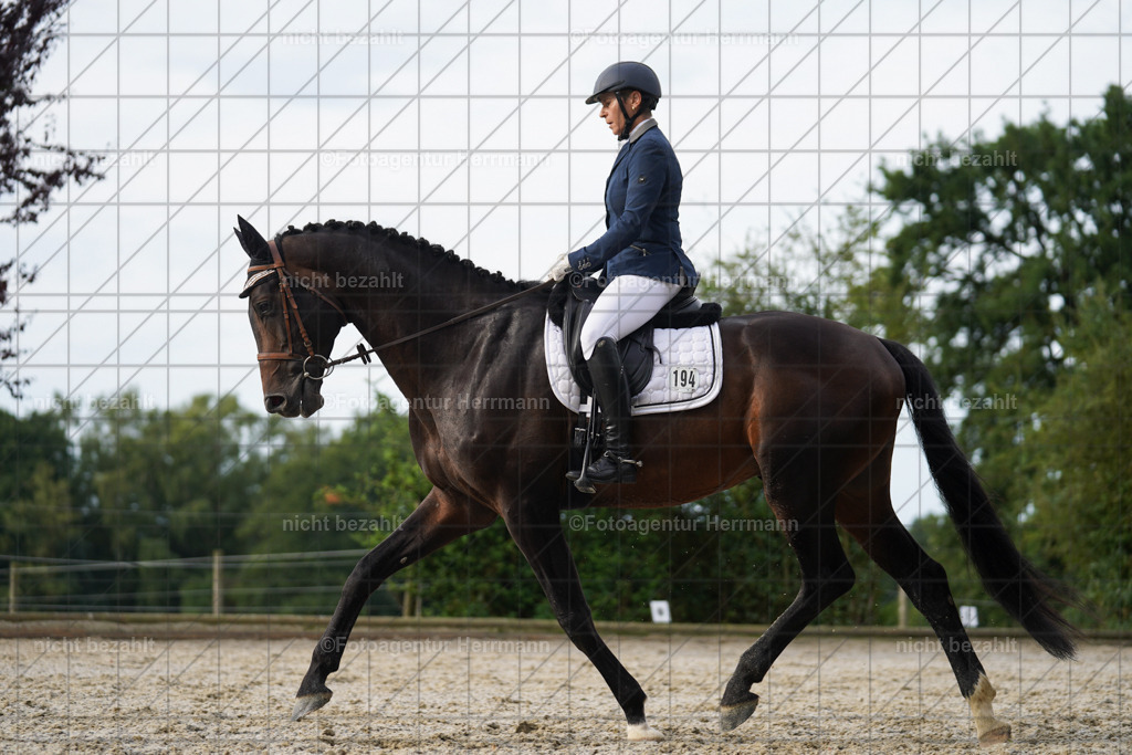 20230826-FAH04484 | Forstinning, 2023, Dressurturnier, Turniersportbilder, Turnierfotografen Bayern, Fotoagentur Herrmann, Reitsportfotografie, Turnierbilder