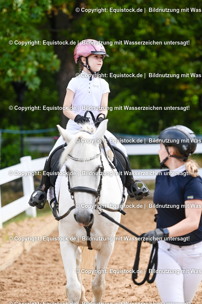 20230716_11_Führzügel-WB_0161 | equistock