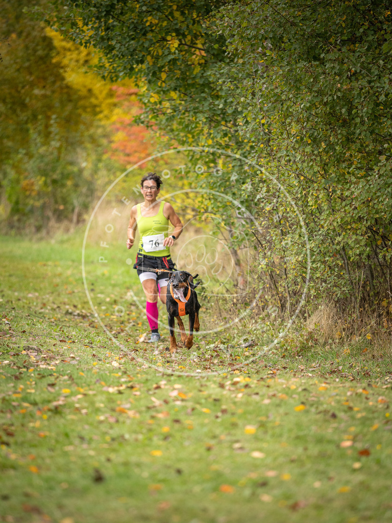 Pfotenfotografie_DV3A2942 | Hundefotografie, Tierfotograf, Pfotenfotografie, Fotoshooting Hund, Hunde Portrait, Hundesport, Hundeportraits, Heideshooting, Hunde, Sportfotograf, Hundefotograf, Turnierhundsport, THS,  - Realisiert mit Pictrs.com