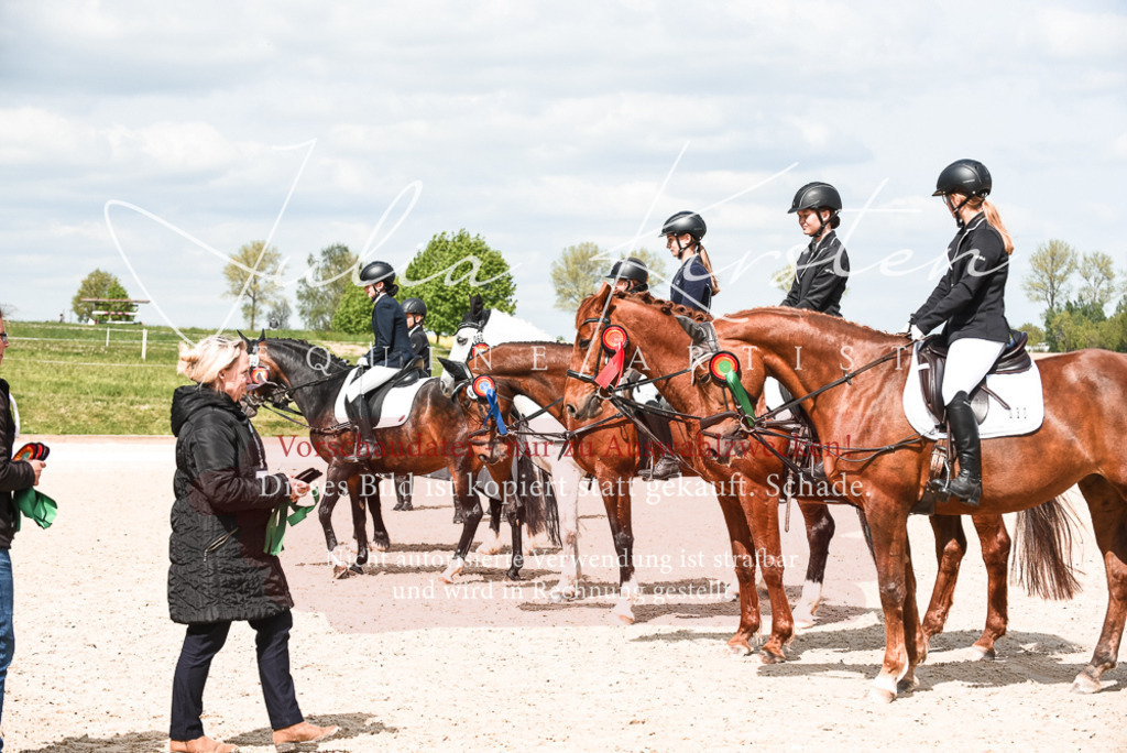 20230518_JK-Röhrsdorf-11-1018 | Pferde- und Turnierfotografie in Westsachsen. Pferdeportraits, Auftragszeichnungen und intuitive Kunst.