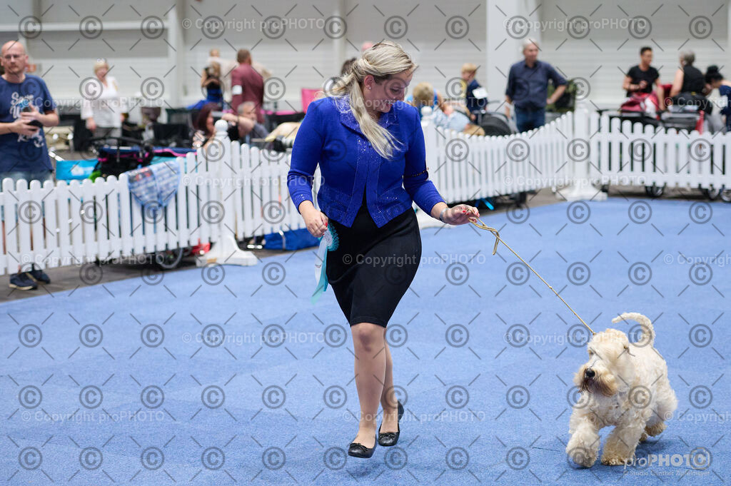 202406_ÖKV-IHA-Tulln24_DSC_3003 | proPHOTO - Realisiert mit Pictrs.com