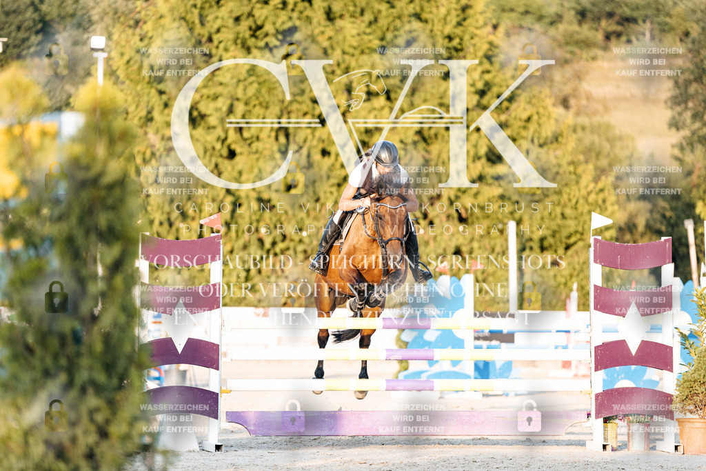 CK901049 | Turnierfotografie Pferdefotografie Trier Rheinland-Pfalz Pferdesport Reitsport Tierfotografie Sportfotografie Pferdevideo Pferdevideografie Equestrianvideography equestrianphotography  - Realisiert mit Pictrs.com
