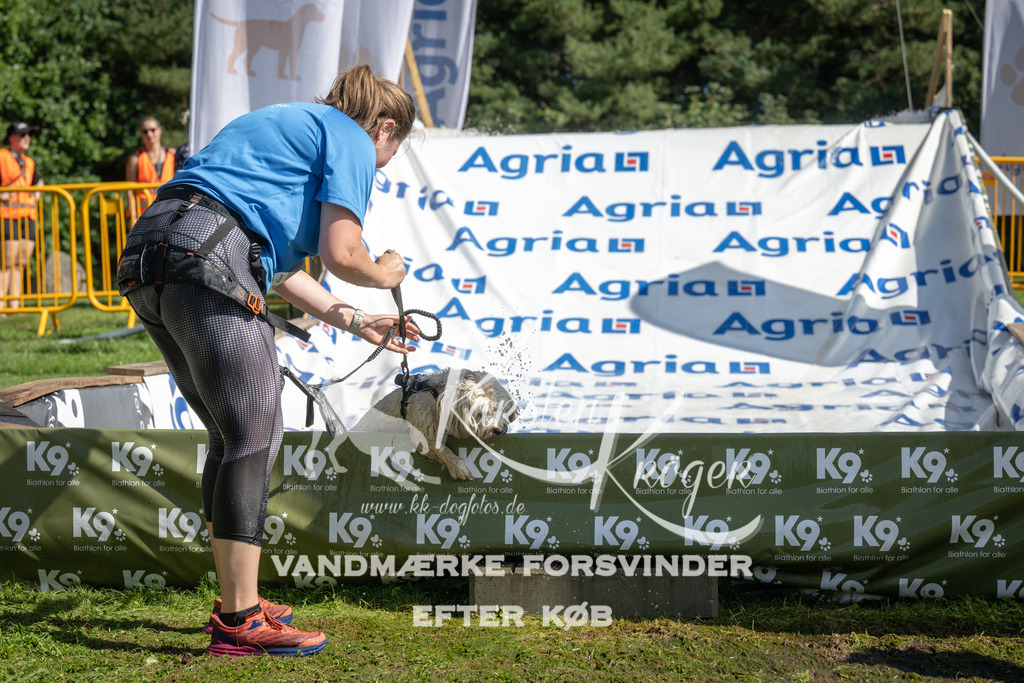 1130_ZZ92415 | kk-dogfotos
