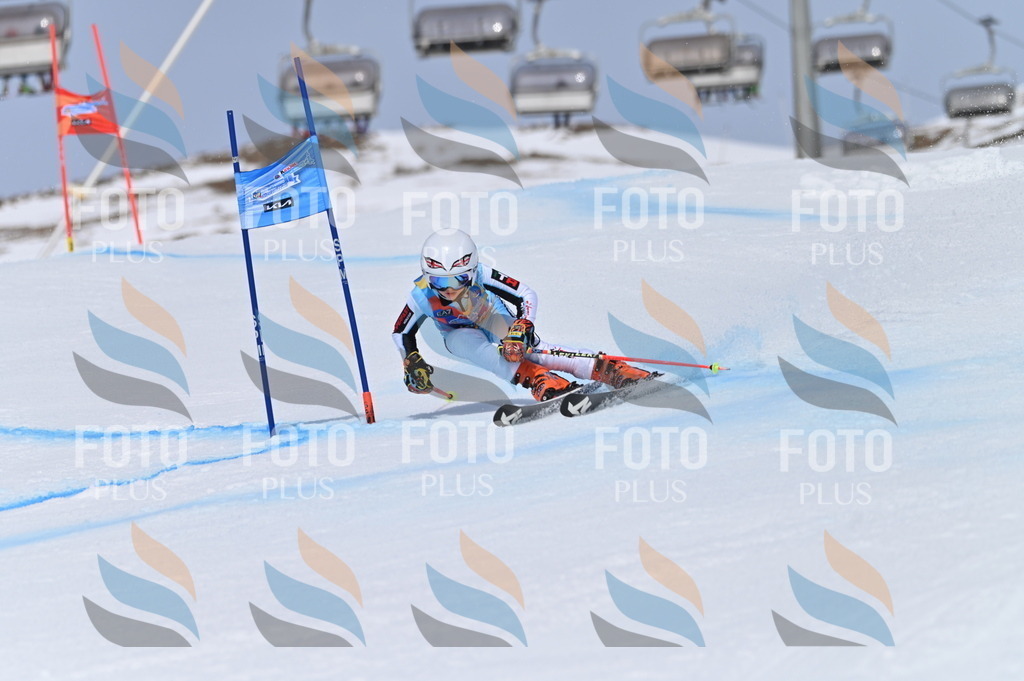 BGV_3621 | holidayphoto