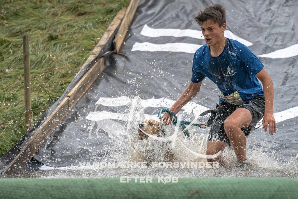 1456_ZZ91563 | kk-dogfotos