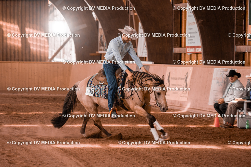 NE300691 | dv-media-shop - Realisiert mit Pictrs.com