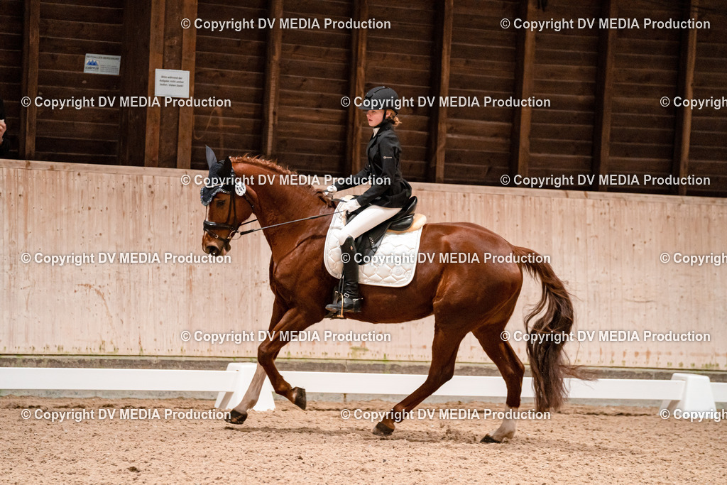 Dressur Tag 1 -348 | dv-media-shop - Realisiert mit Pictrs.com
