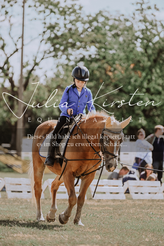 DSC_7520 | Pferde- und Turnierfotografie in Westsachsen. Pferdeportraits, Auftragszeichnungen und intuitive Kunst.