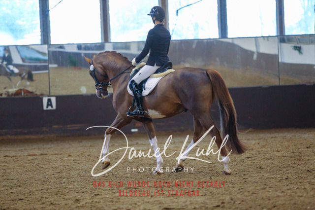 IMG_7154 | Turniersportfotografie; Pferdefotografie; Dressurfotografie
