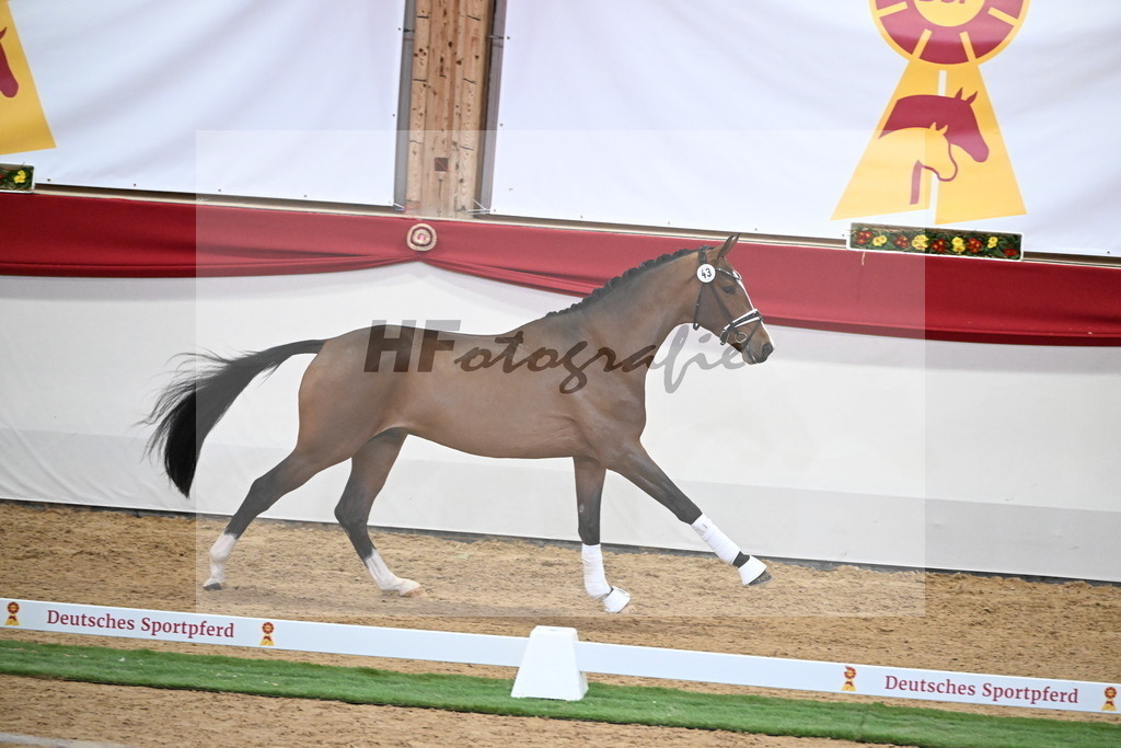 Kat.-Nr. 43 v. Benicio_Fleischmann_2250025 | hf-fotografie - Realisiert mit Pictrs.com