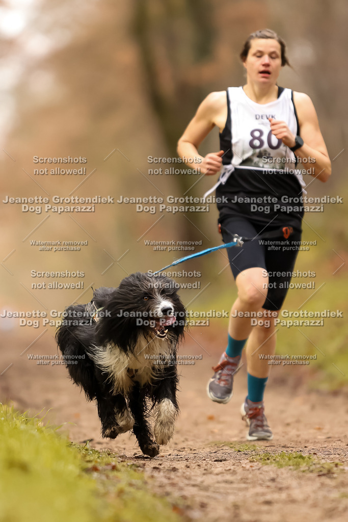 Dog Paparazzi - Speedhunter Mannheim  2025-230 | Dog Paparazzi Jeanette Grottendiek Fotografie & Videografie