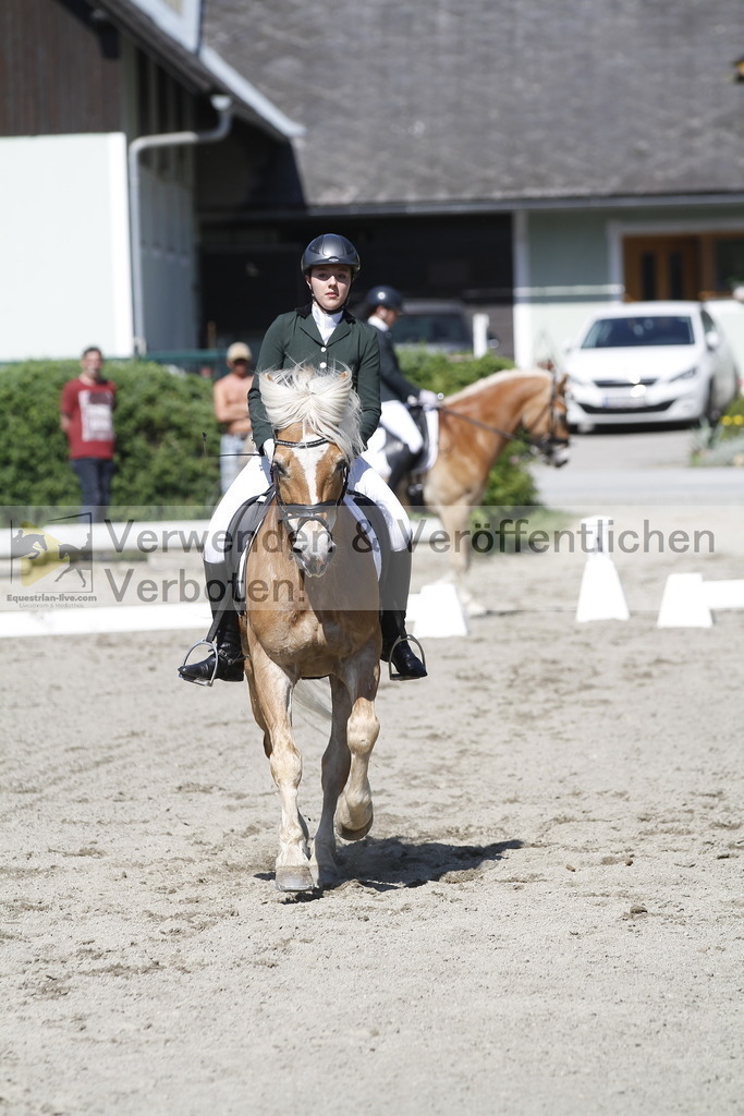 _MG_4228 | equestrian-live-com