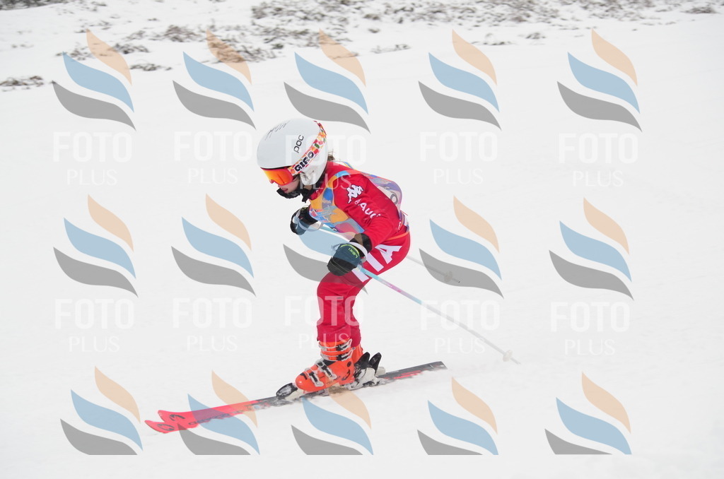 C0563 | holidayphoto