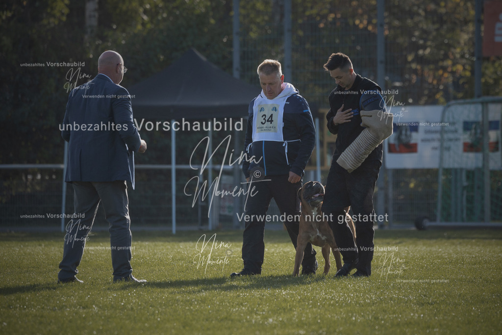 _16A6389-1 | Einzigartige Fotos von Hunden & Menschen –Actionfotos, Portraits, Vereinsaufnahmen & Paarshootings – authentisch, lebendig & mit Herz.