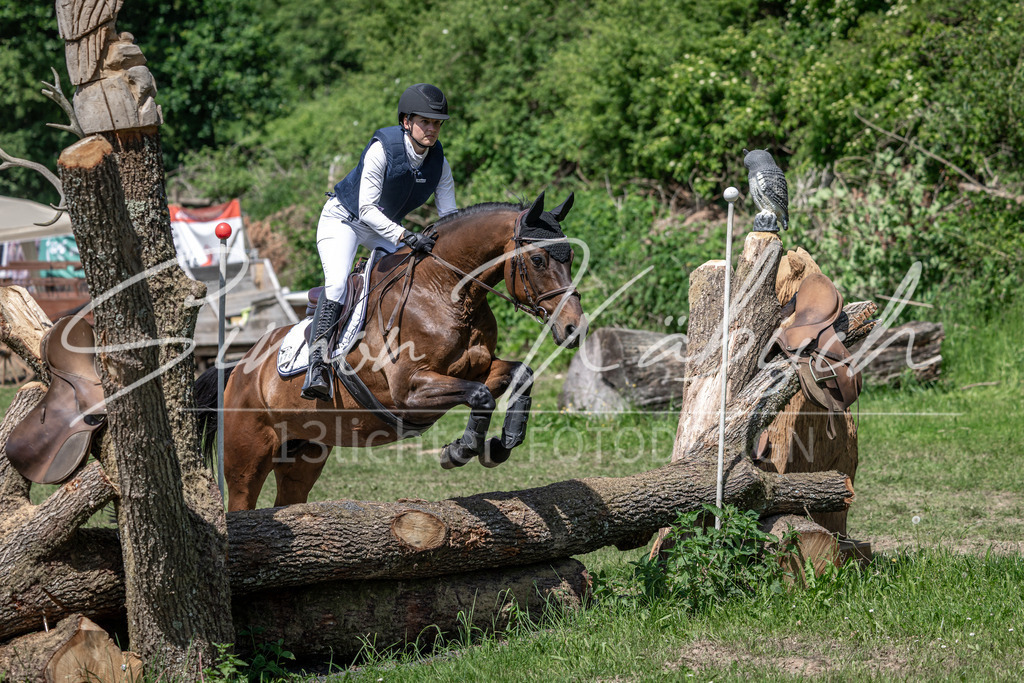 20260523-_3LI8991 | Tierfotografie Pferde, Hunde, Katzen, Haustiere.
Turnierfotografie Reitturniere, Reiten, Springreiten, Dressur in Hanau, dem Main-Kinzig-Kreis und dem Rhein-Main- Gebiet um Frankfurt