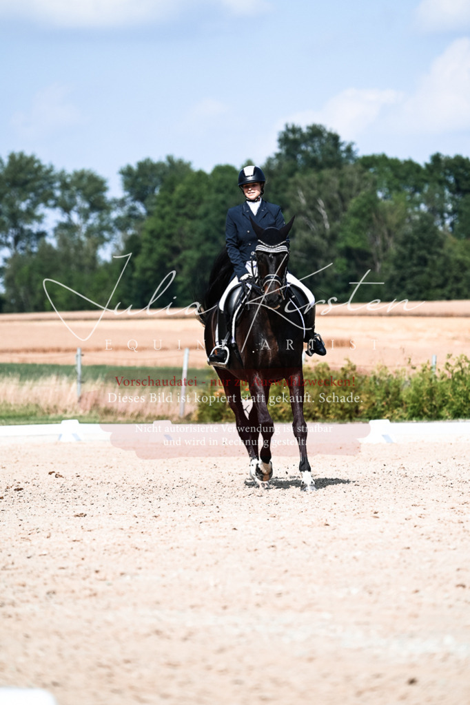 DSC_3331 | Pferde- und Turnierfotografie in Westsachsen. Pferdeportraits, Auftragszeichnungen und intuitive Kunst.