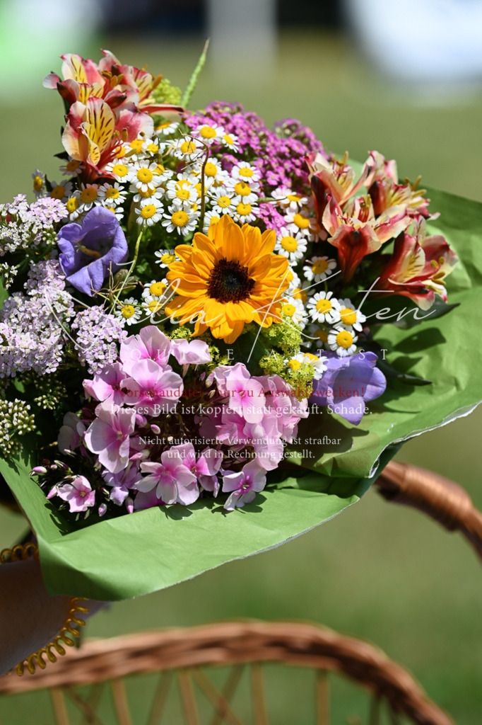 DSC_9917 | Pferde- und Turnierfotografie in Westsachsen. Pferdeportraits, Auftragszeichnungen und intuitive Kunst.