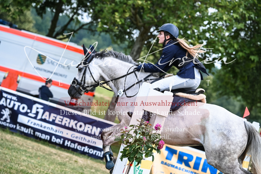 DSC_8152 | Pferde- und Turnierfotografie in Westsachsen. Pferdeportraits, Auftragszeichnungen und intuitive Kunst.