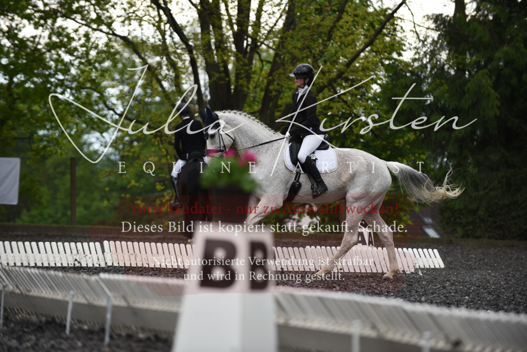 20230513_JK-Röhrsdorf-15-329 | Pferde- und Turnierfotografie in Westsachsen. Pferdeportraits, Auftragszeichnungen und intuitive Kunst.