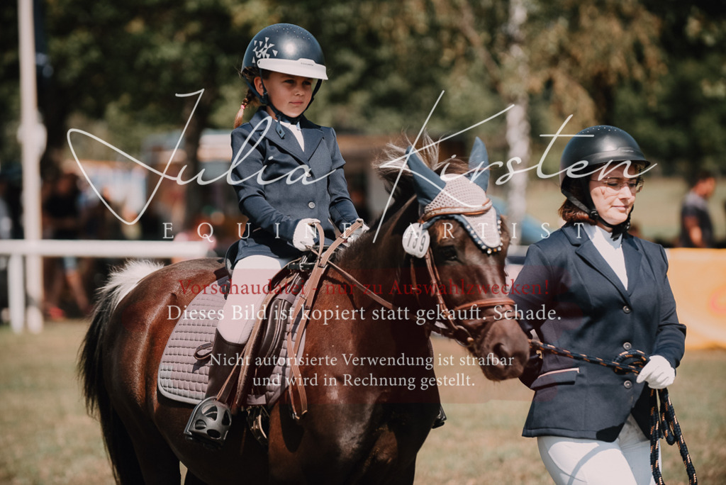 DSC_5982 | Pferde- und Turnierfotografie in Westsachsen. Pferdeportraits, Auftragszeichnungen und intuitive Kunst.