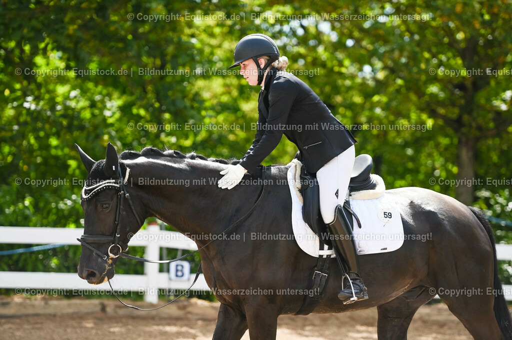 20230715_07_Dressurpferdeprfg. Kl.L_0166 | equistock