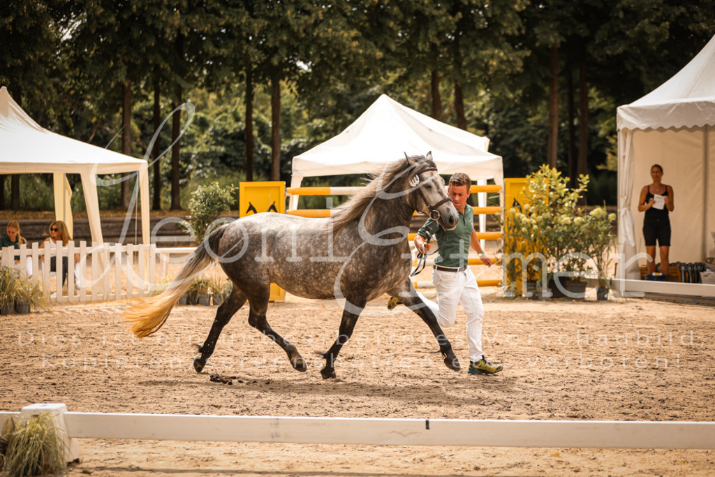 04.So00084 | Leoni Ertmer Photography - Realisiert mit Pictrs.com