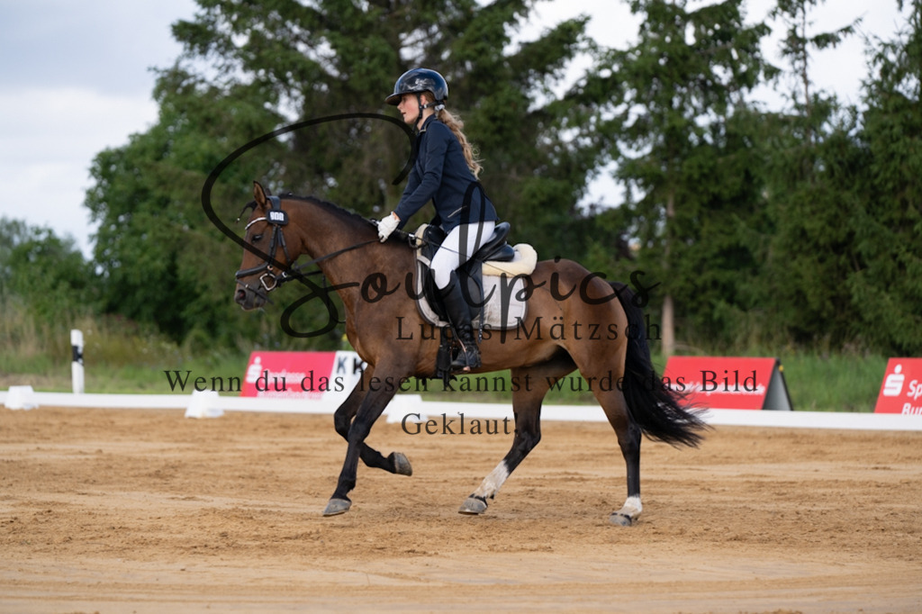 A7V05194 | Pferdefotograf