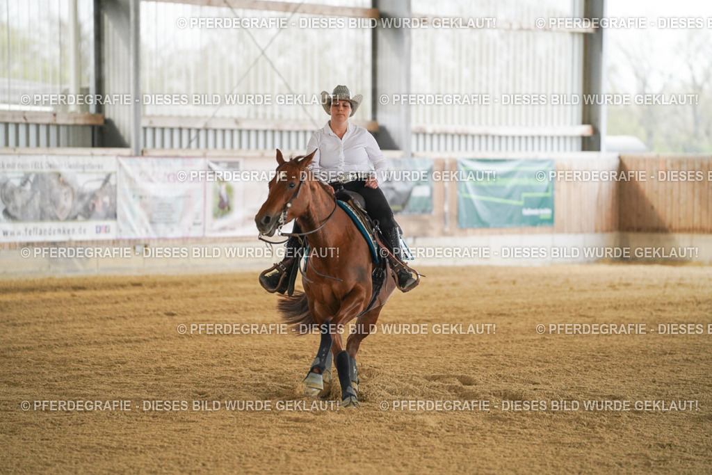 DSC07871 | Pferdegrafie