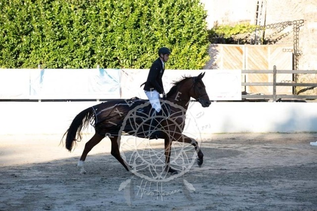 2B4A0880 | pixelfaenger - Realisiert mit Pictrs.com