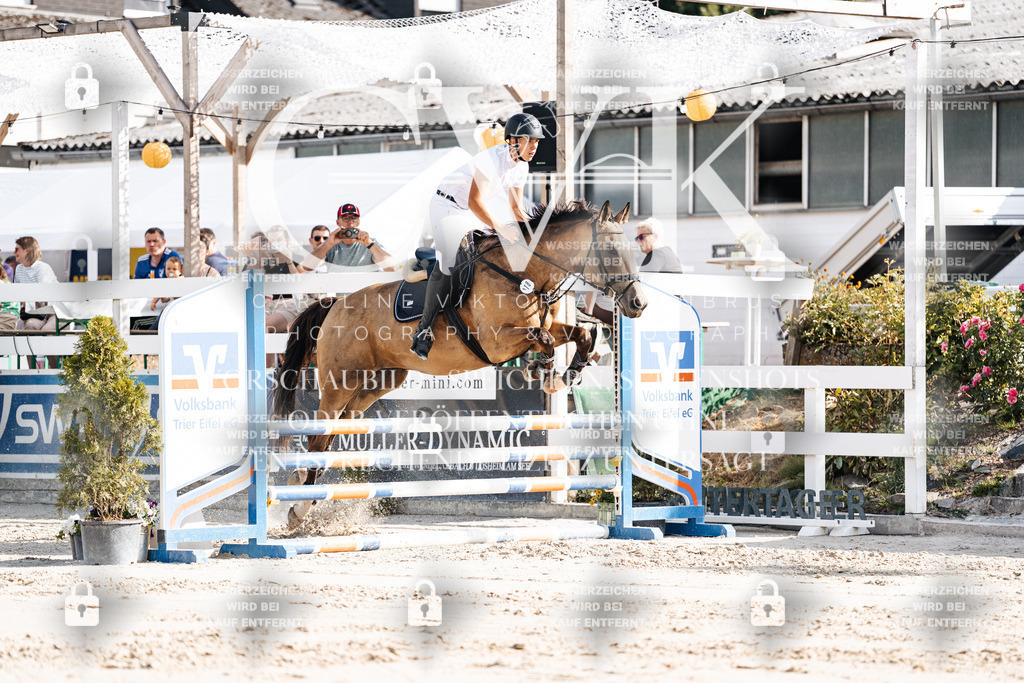 CK909183 | Turnierfotografie Pferdefotografie Trier Rheinland-Pfalz Pferdesport Reitsport Tierfotografie Sportfotografie Pferdevideo Pferdevideografie Equestrianvideography equestrianphotography  - Realisiert mit Pictrs.com