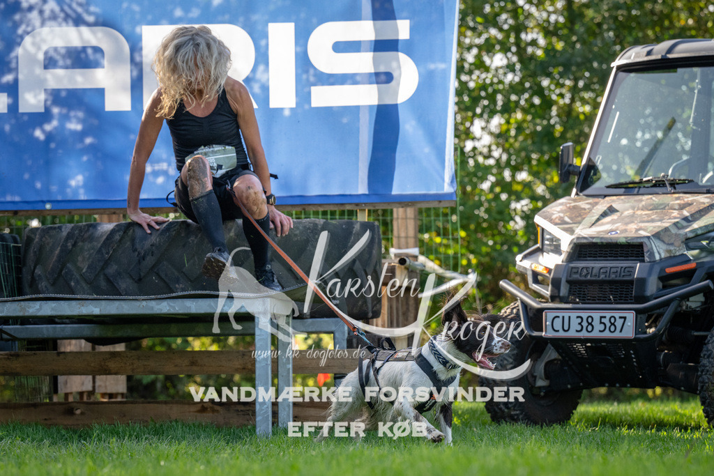 1145-92249 | kk-dogfotos