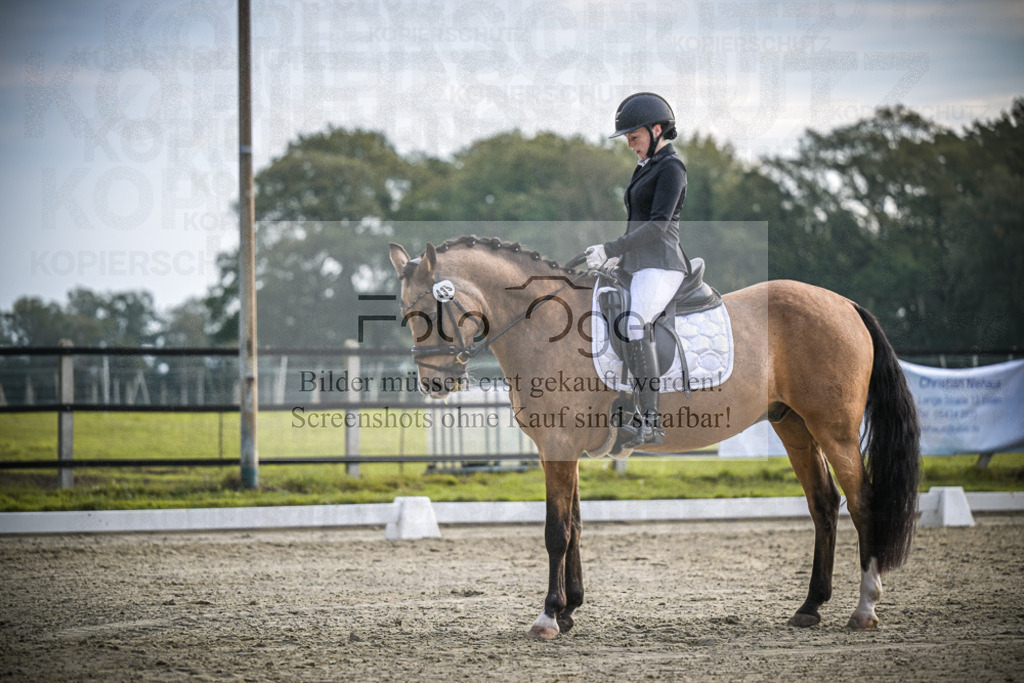 DOS_4558 | Entdecke hochwertige Reitturnierfotos von Foto Oger. Professionell, emotional und authentisch – jetzt Lieblingsmomente im Shop bestellen.Deutschlandweite Turnierfotografie. - Realisiert mit Pictrs.com