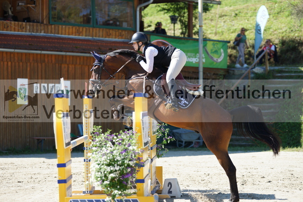 DSC02386 | equestrian-live-com