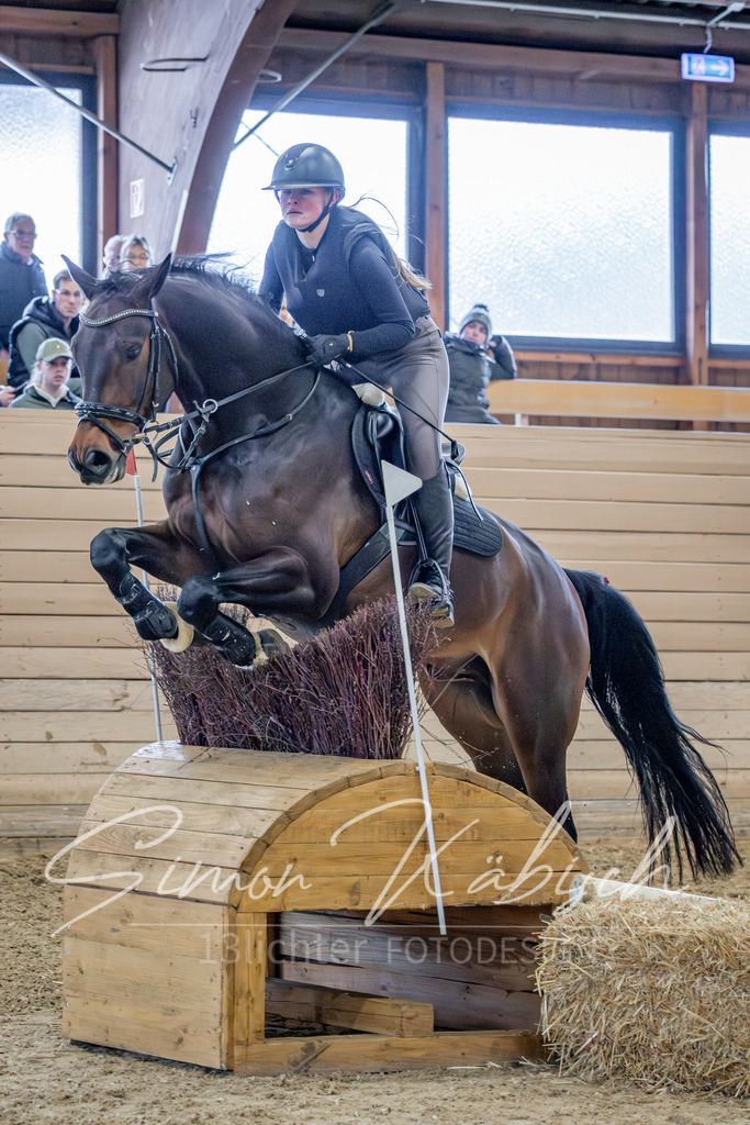 20260222-_3LI2073 | Tierfotografie Pferde, Hunde, Katzen, Haustiere.
Turnierfotografie Reitturniere, Reiten, Springreiten, Dressur in Hanau, dem Main-Kinzig-Kreis und dem Rhein-Main- Gebiet um Frankfurt