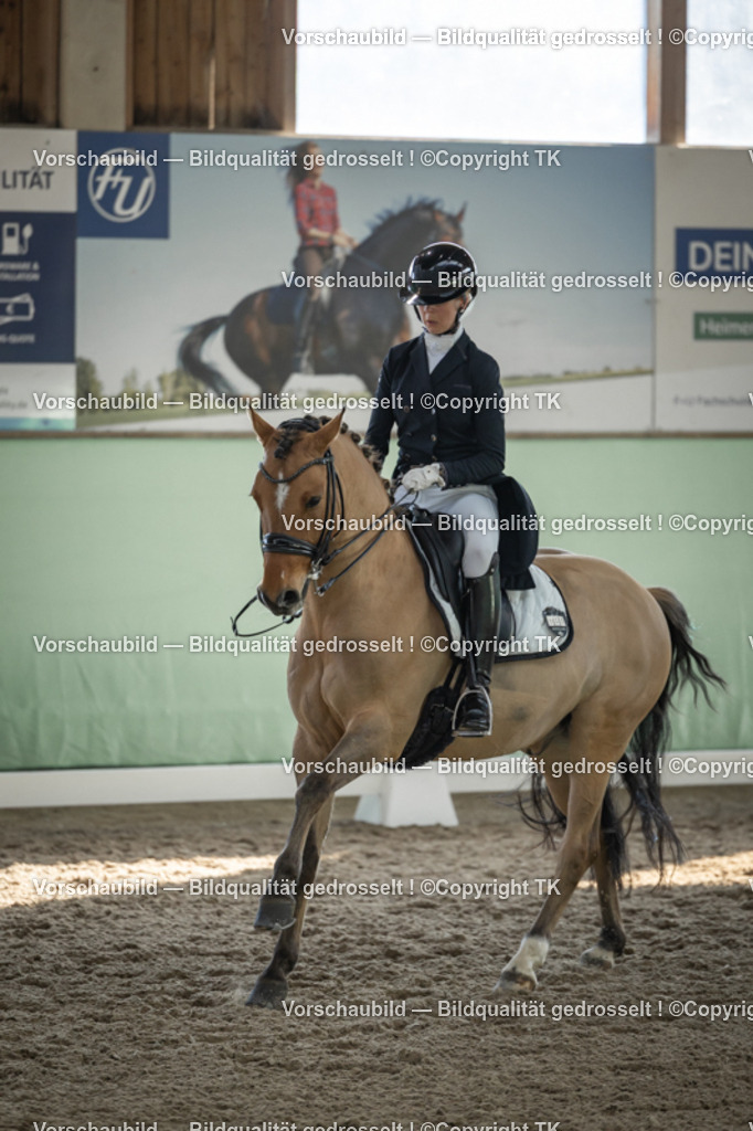 _D5A0408 | Emotionale Pferde- & People-Fotografie rund um Heidelberg, Leimen & Umgebung. Natürliche Fotos von Pferd, Mensch & Familie. Jetzt Termin sichern!