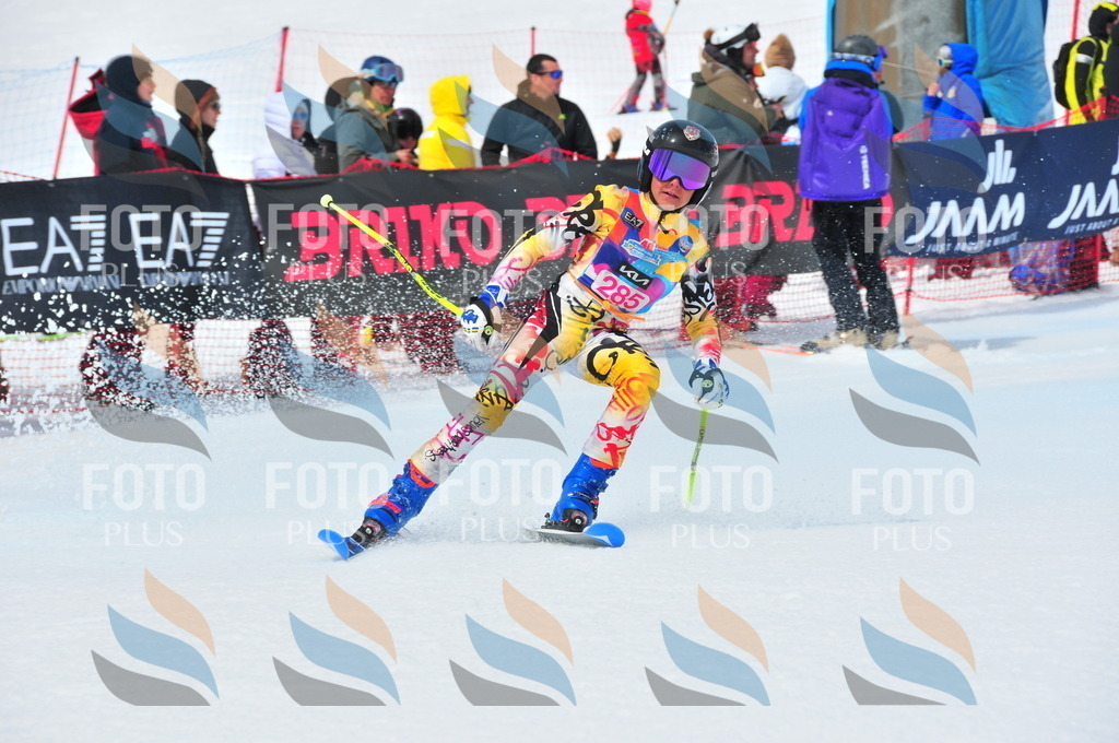 DSC_6408 | holidayphoto