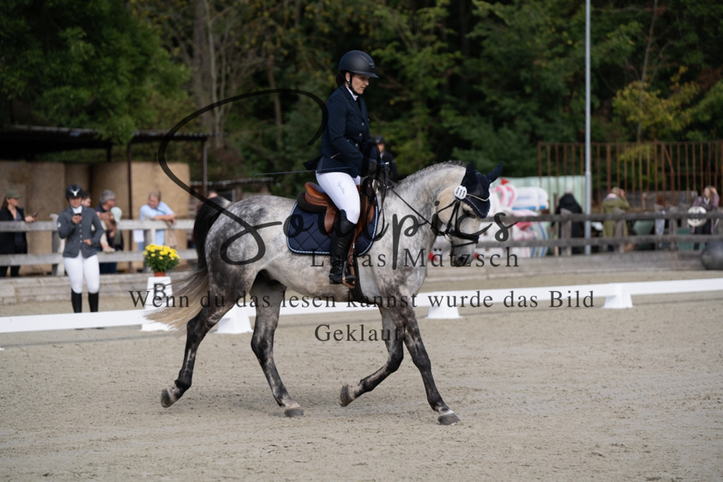 A7V06837 | Turnier/Reitfotograf
