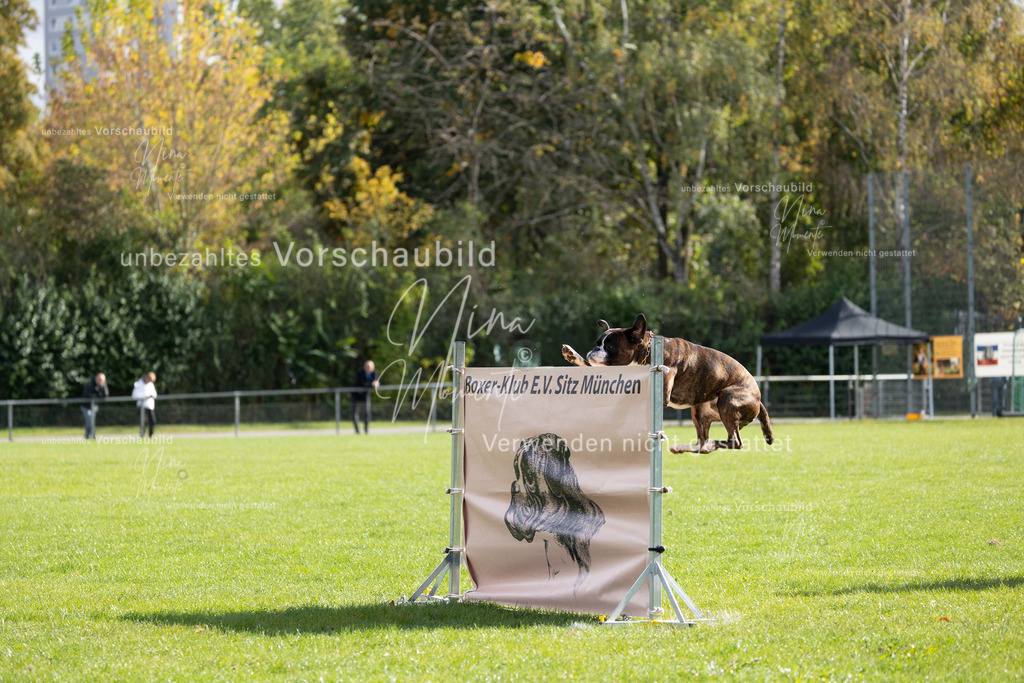 _16A6895 | Einzigartige Fotos von Hunden & Menschen –Actionfotos, Portraits, Vereinsaufnahmen & Paarshootings – authentisch, lebendig & mit Herz.