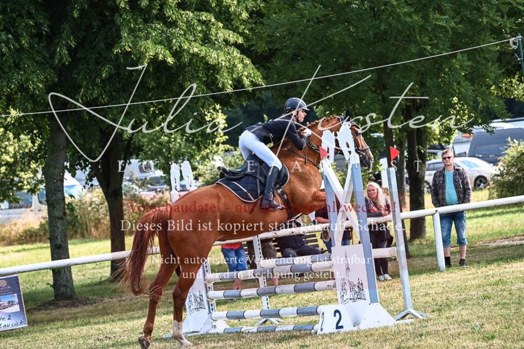 DSC_7951 | Pferde- und Turnierfotografie in Westsachsen. Pferdeportraits, Auftragszeichnungen und intuitive Kunst.